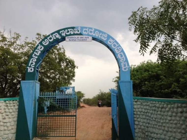 Daroji Sloth Bear Sanctuary-1